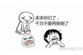 淇滨债务清欠服务